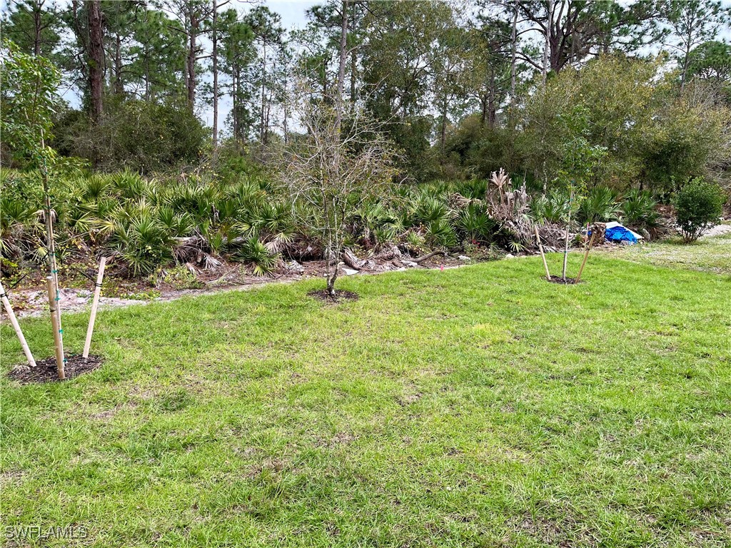 3020 N Lakewood Road Labelle FL 33935 225076397 image17