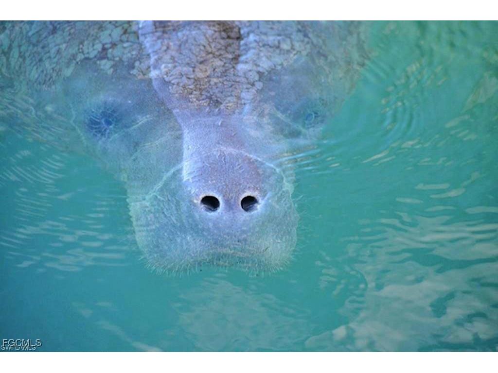 3021 Meandering Way #202 Fort Myers FL 33905 2025010700 image30