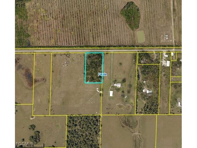 303 County Road 830 Felda FL 33930 2025019707 image2