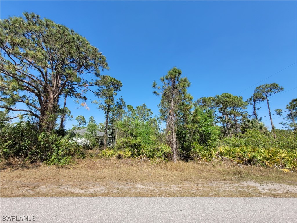 303 E 11th Street Lehigh Acres FL 33972 223016370 image1