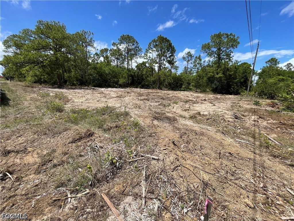 303 E 13th Street Lehigh Acres FL 33972 2026016256 image3