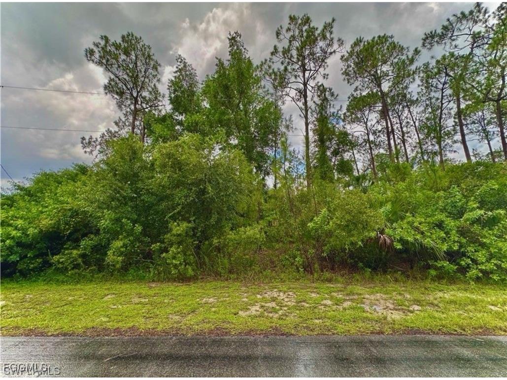 303 Johanna Avenue Lehigh Acres FL 33972 2025007835 image3