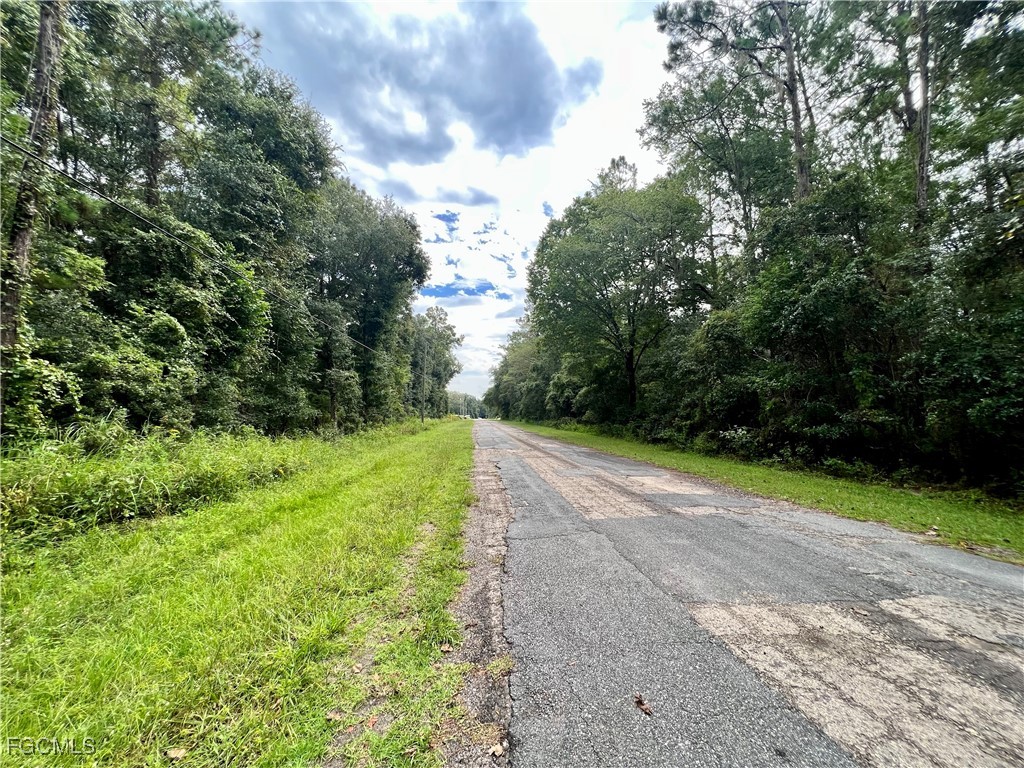 303 W Eridani Court Citrus Springs FL 34494 2025011507 image3