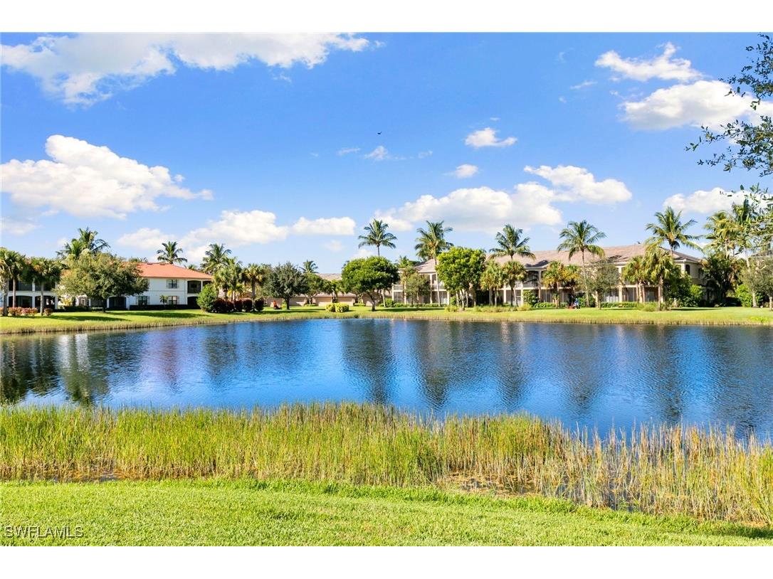 3031 Marengo Court #101 Naples FL 34114 225067694 image48