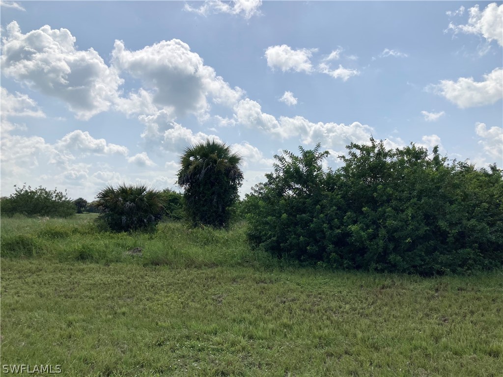 3049 E Briarwood Circle Labelle FL 33935 221065335 image3