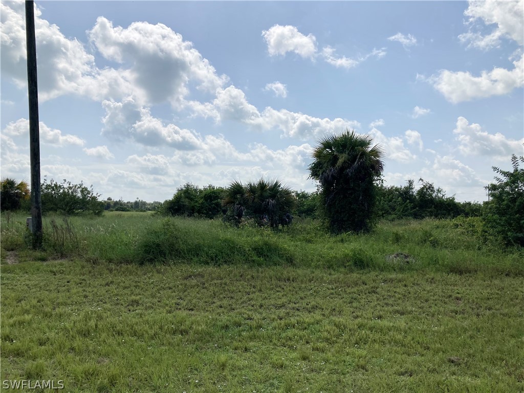 3049 E Briarwood Circle Labelle FL 33935 221065335 image4