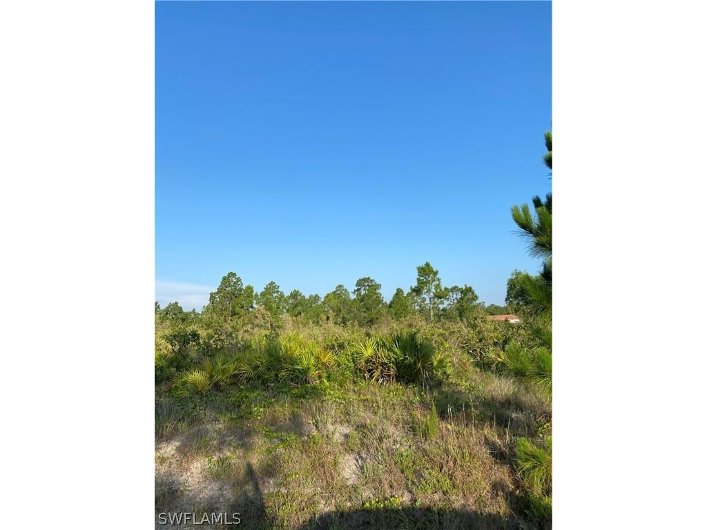 305 Louis Avenue Lehigh Acres FL 33936 222046008 image1