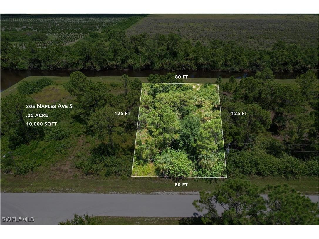 305 Naples Avenue S Lehigh Acres FL 33974 224067022 image1