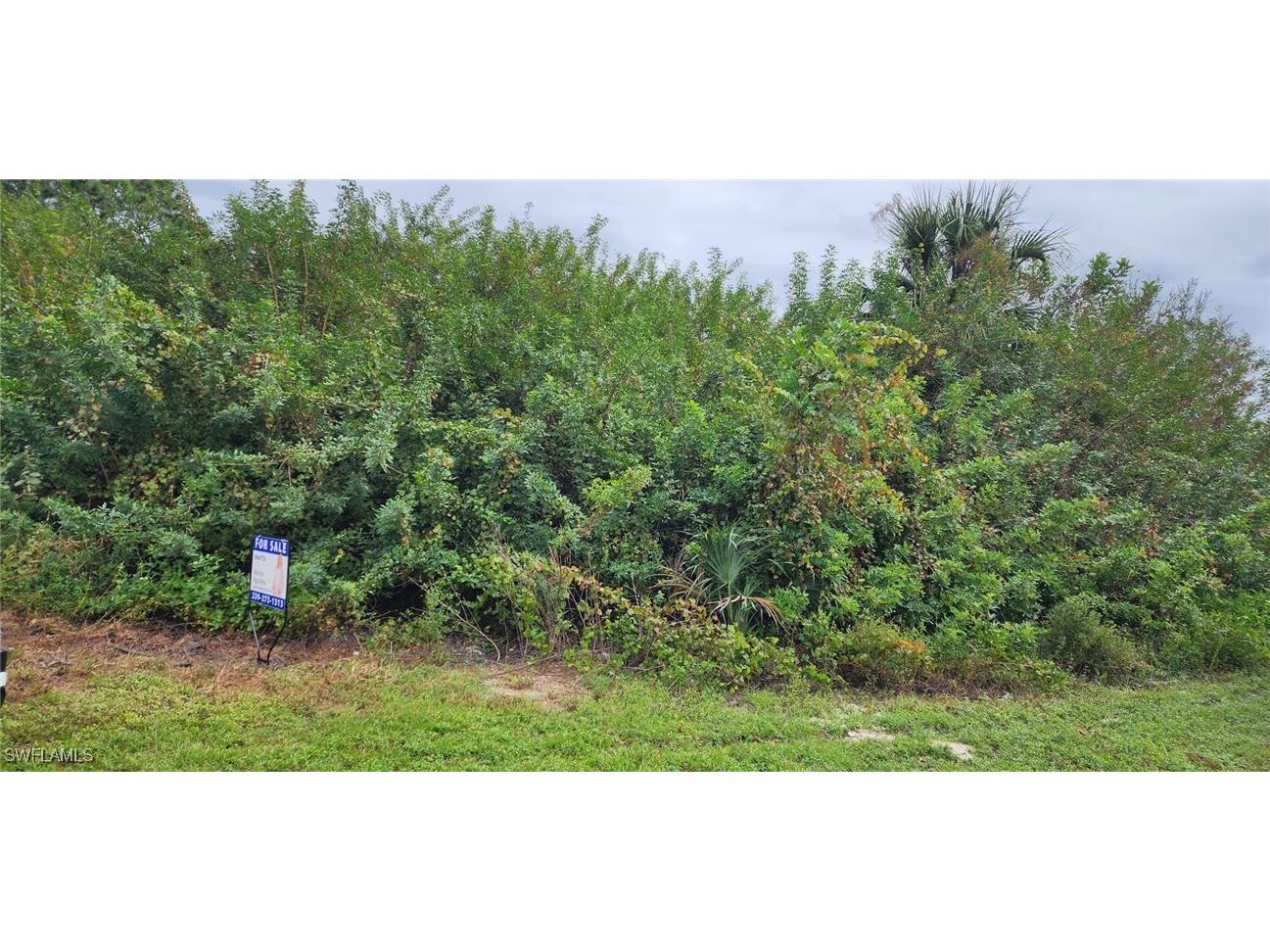 305 Rand Avenue E Lehigh Acres FL 33974 224083670 image1