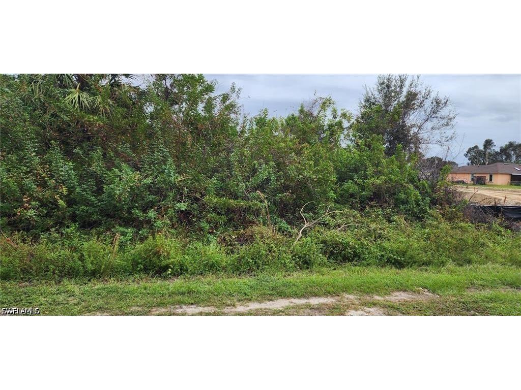 305 Rand Avenue Lehigh Acres FL 33974 226020508 image1