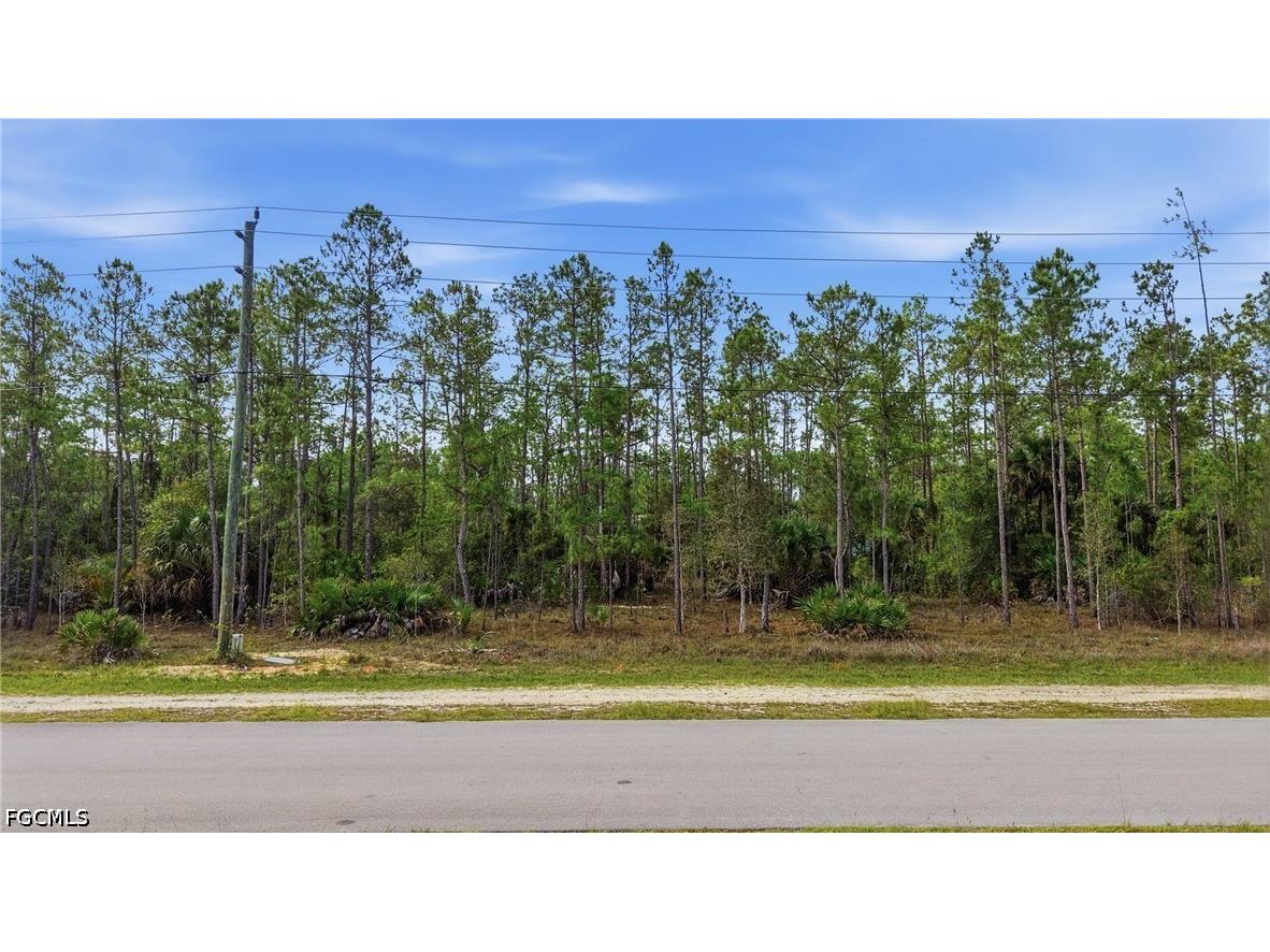 305 Woodburn Drive Lehigh Acres FL 33972 2026024473 image2