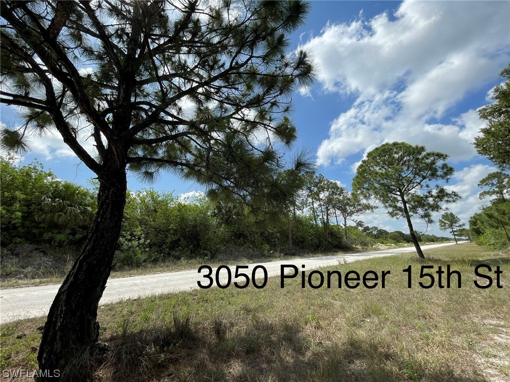 3050 Pioneer 15th Street Other FL 33440 223044977 image1