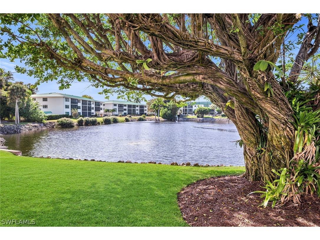 3055 Riviera Drive #102 Naples FL 34103 226008615 image2