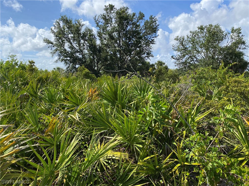 306 Baytree Drive Rotonda West FL 33947 223045716 image2