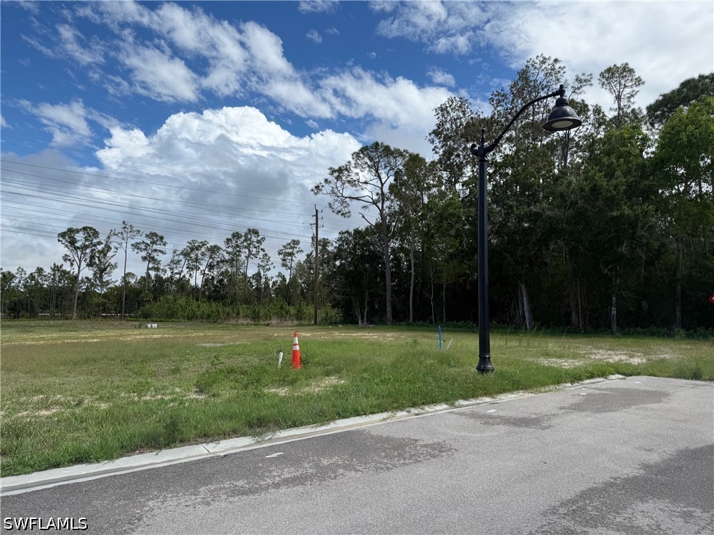 306 Riviera Tulum Avenue Naples FL 34110 226016553 image1