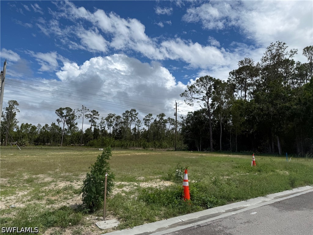 306 Riviera Tulum Avenue Naples FL 34110 226016553 image10