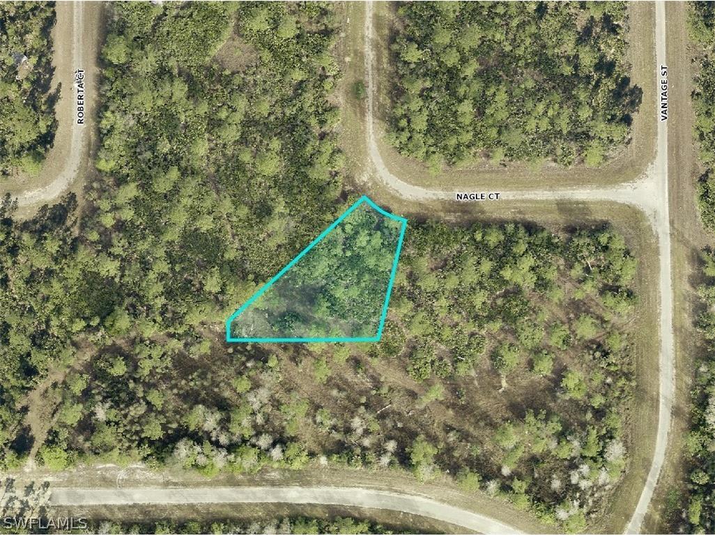 307 Nagle Court Lehigh Acres FL 33972 224059906 image1