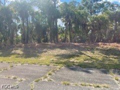 307 S Nancy Lane Labelle FL 33935 2025015926 image3