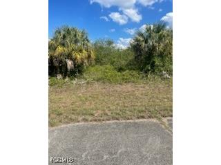 307 S Nancy Lane Labelle FL 33935 2025015926 image4