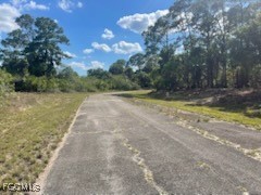 307 S Nancy Lane Labelle FL 33935 2025015926 image5