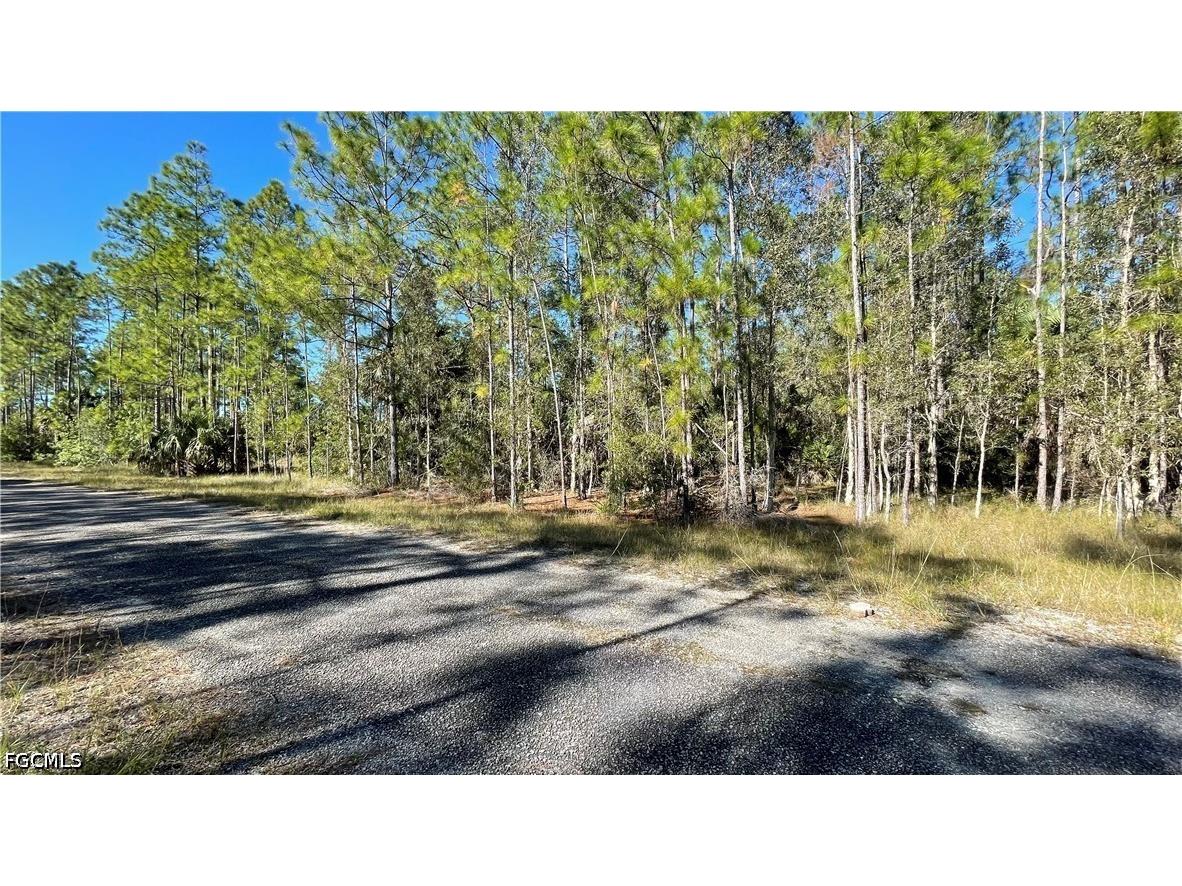 308 Rosanna Avenue Lehigh Acres FL 33972 2026017545 image10