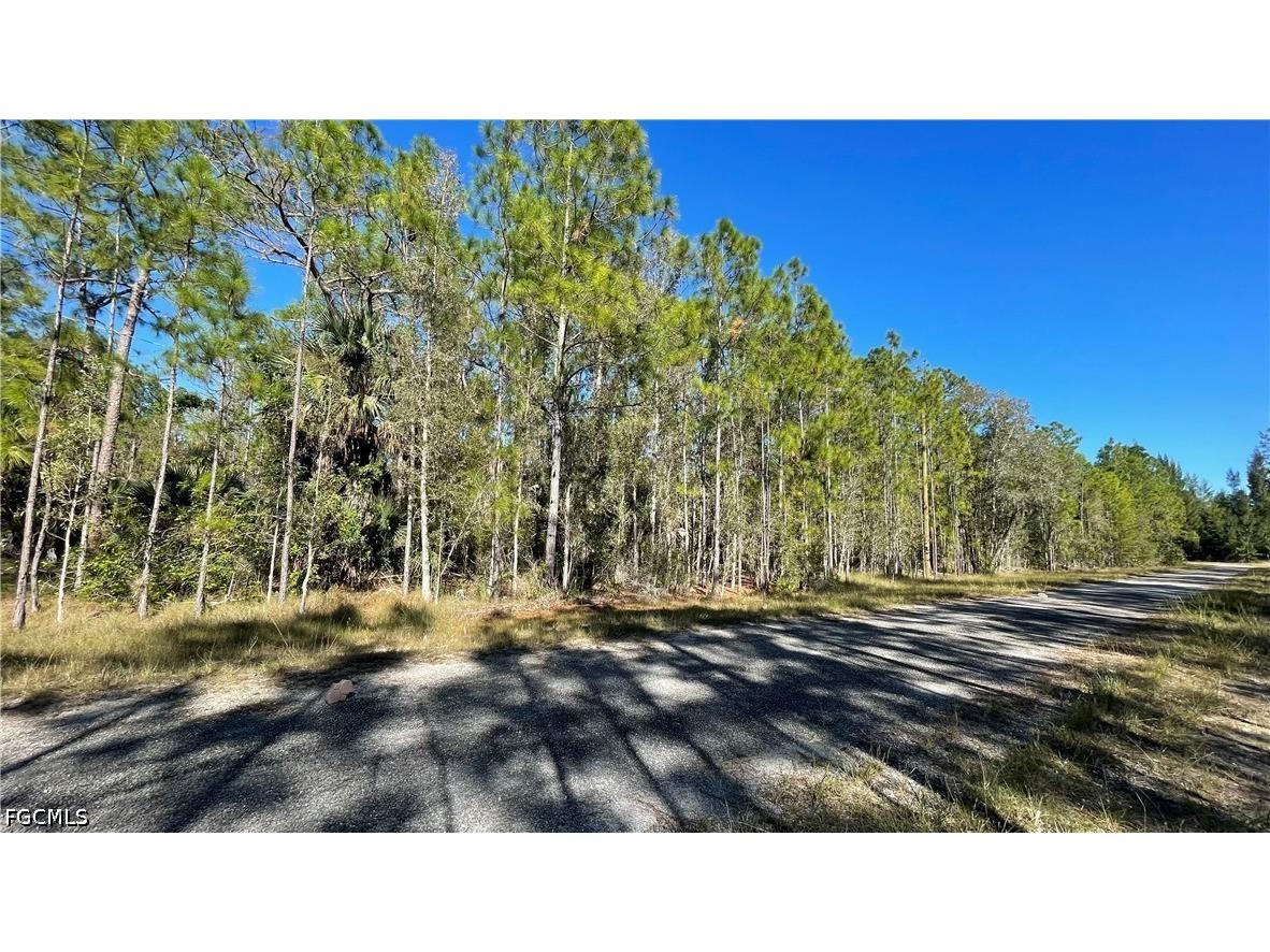 308 Rosanna Avenue Lehigh Acres FL 33972 2026017545 image12