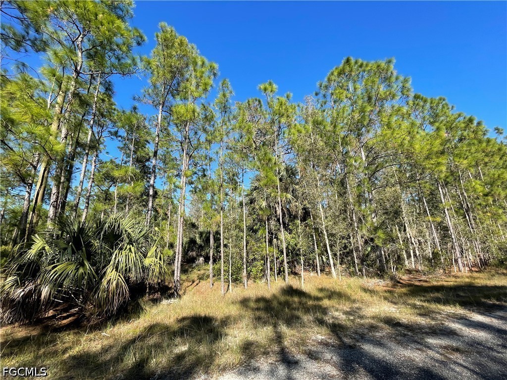 308 Rosanna Avenue Lehigh Acres FL 33972 2026017545 image2