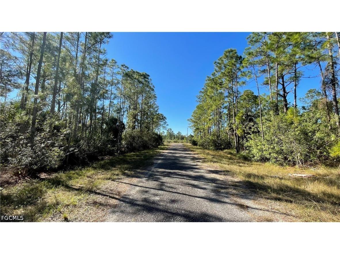 308 Rosanna Avenue Lehigh Acres FL 33972 2026017545 image7