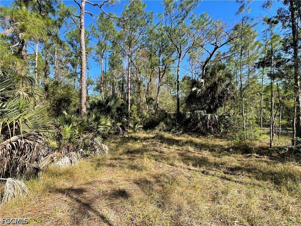 308 Rosanna Avenue Lehigh Acres FL 33972 2026017545 image9