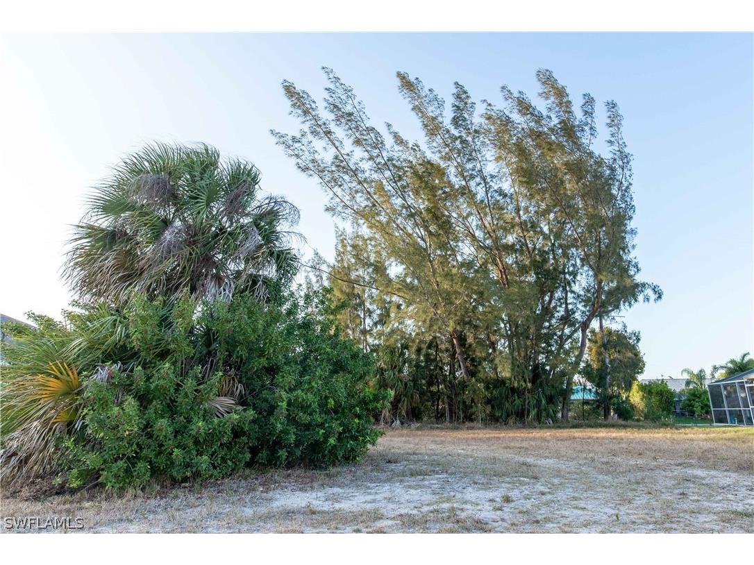 309 SE 23rd Terrace Cape Coral FL 33990 222028351 image1