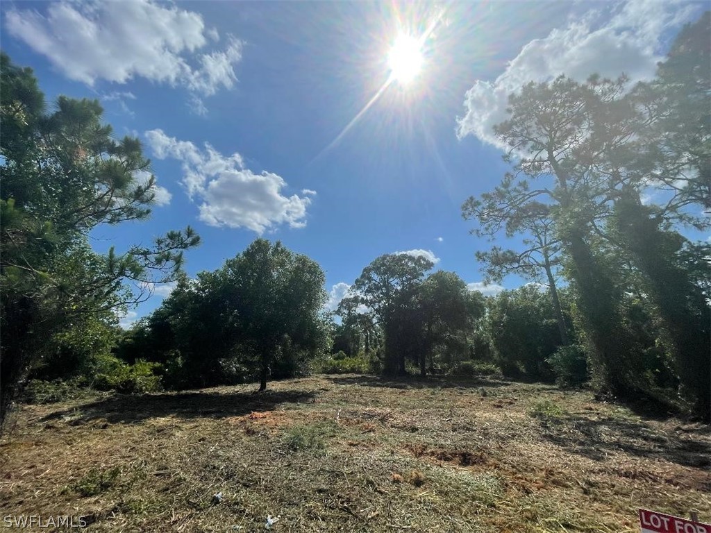 310 Austin Avenue Lehigh Acres FL 33974 224038432 image1