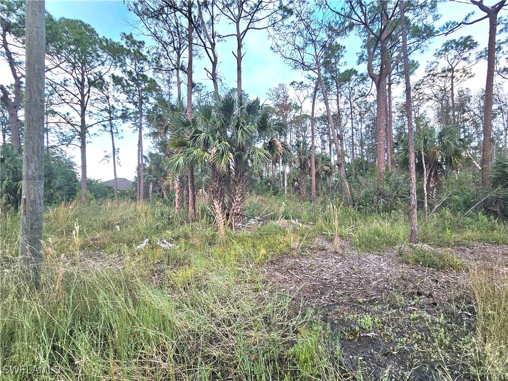 310 Stonybrook Avenue Lehigh Acres FL 33972 224088446 image1