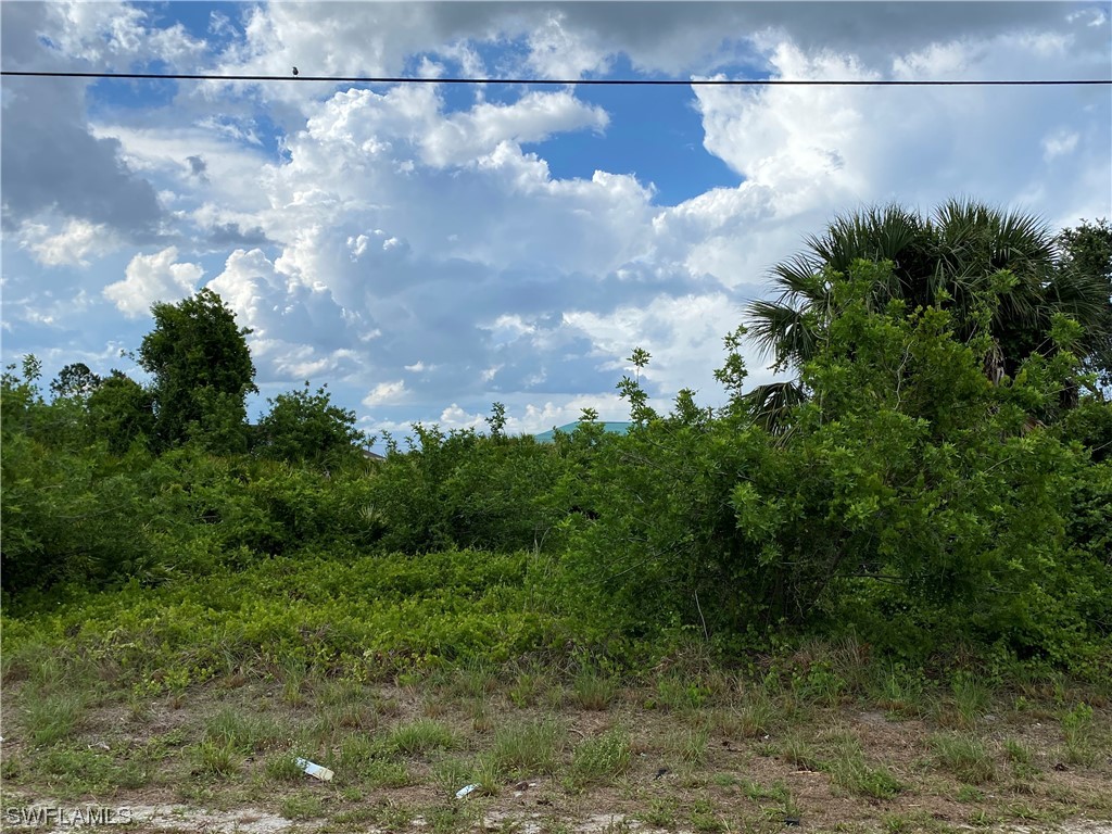 3102 30th Street SW Lehigh Acres FL 33976 223039446 image1