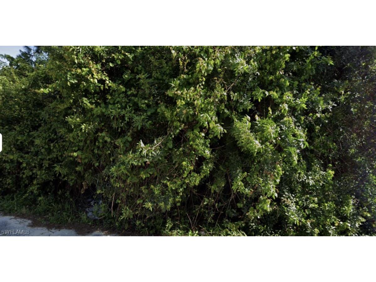 3103 22nd Street W Lehigh Acres FL 33971 223050434 image1