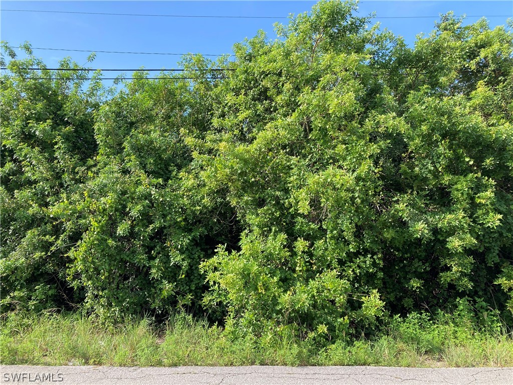 3103 47th Street SW Lehigh Acres FL 33976 222044785 image1