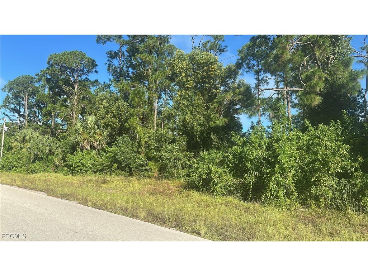 3103 E 8th Street Lehigh Acres FL 33972 2025012106 image3