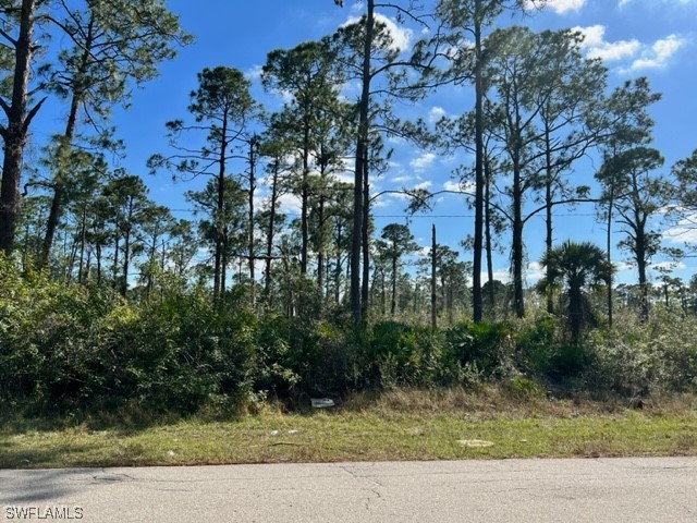 3104 E 21st Street Alva FL 33920 223015123 image1