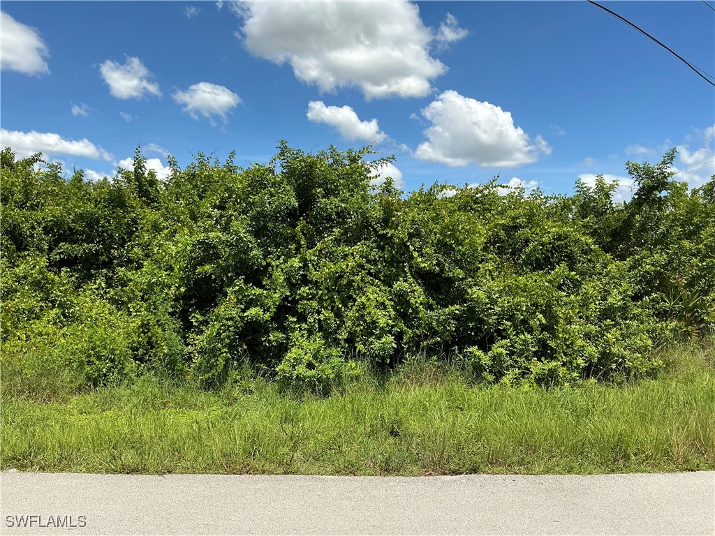 3105 Tena Avenue S Lehigh Acres FL 33976 224063781 image1