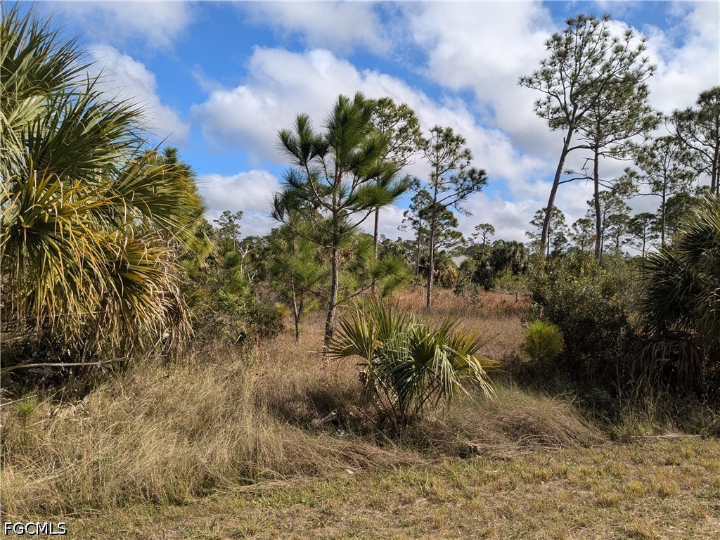 3107 39th Street W Lehigh Acres FL 33971 2026025311 image1