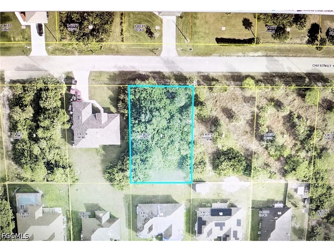 3107 39th Street W Lehigh Acres FL 33971 2026025311 image2