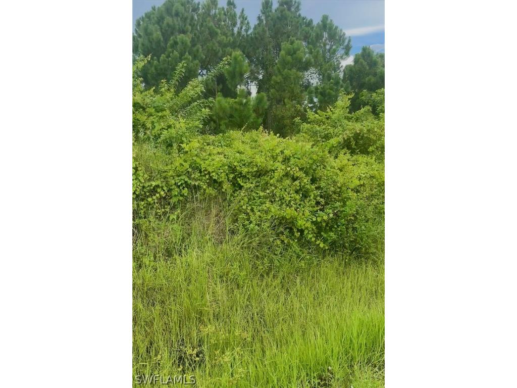 3107 Brian Avenue S Lehigh Acres FL 33976 224061882 image1