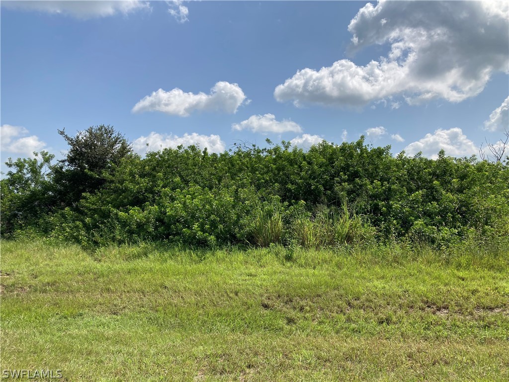 3108 Pebble Lane Labelle FL 33935 221065316 image4