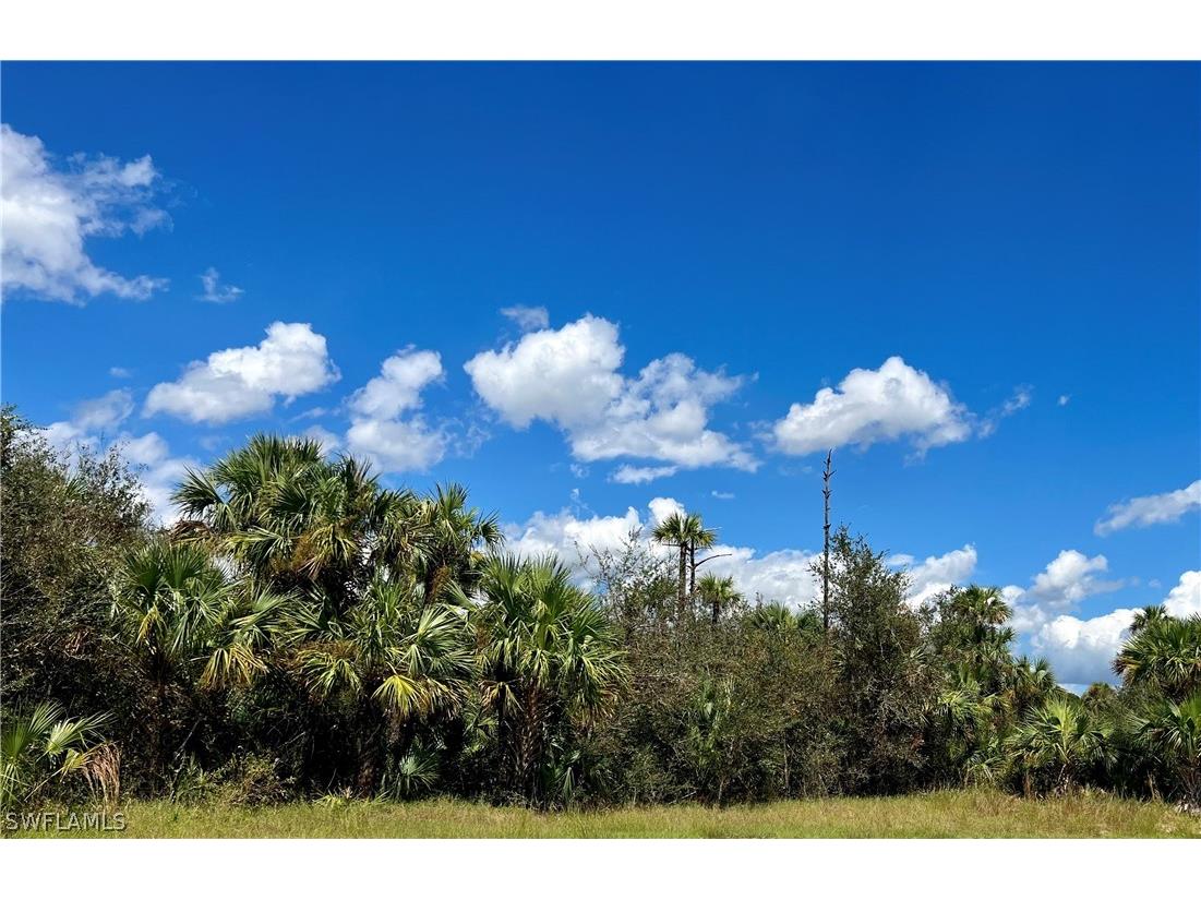 3109 Avon Court Labelle FL 33935 222074032 image1