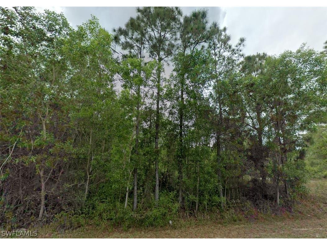 311 Monroe Avenue Lehigh Acres FL 33936 226008135 image1