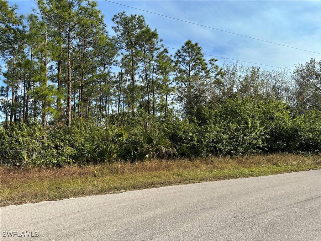 311 Naples Avenue S Lehigh Acres FL 33974 224104344 image1