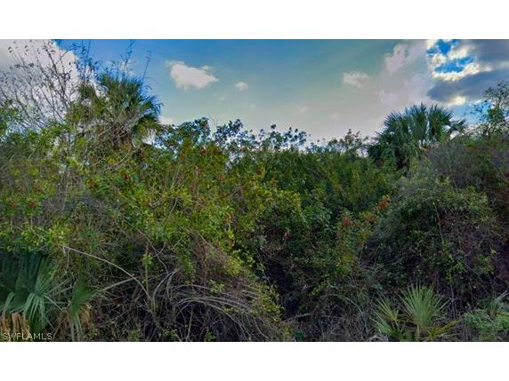 3111 33rd Street SW Lehigh Acres FL 33976 222088988 image1