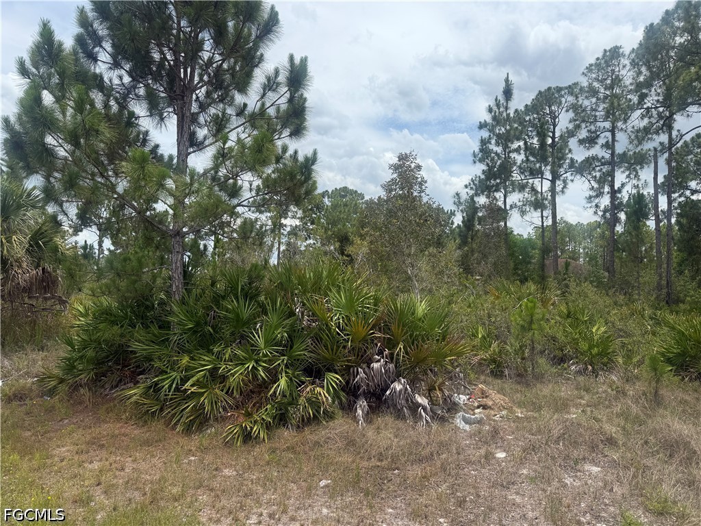 3111 36th Street W Lehigh Acres FL 33971 2026025429 image1