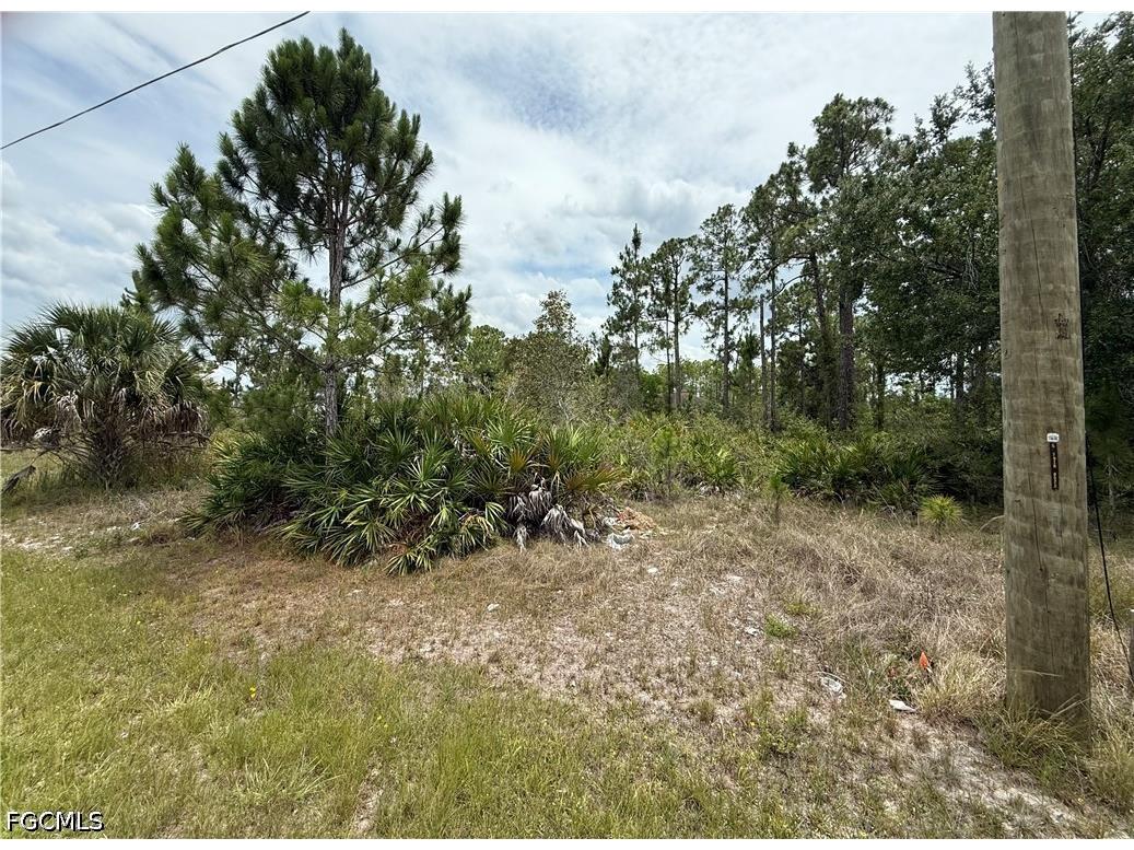 3111 36th Street W Lehigh Acres FL 33971 2026025429 image2