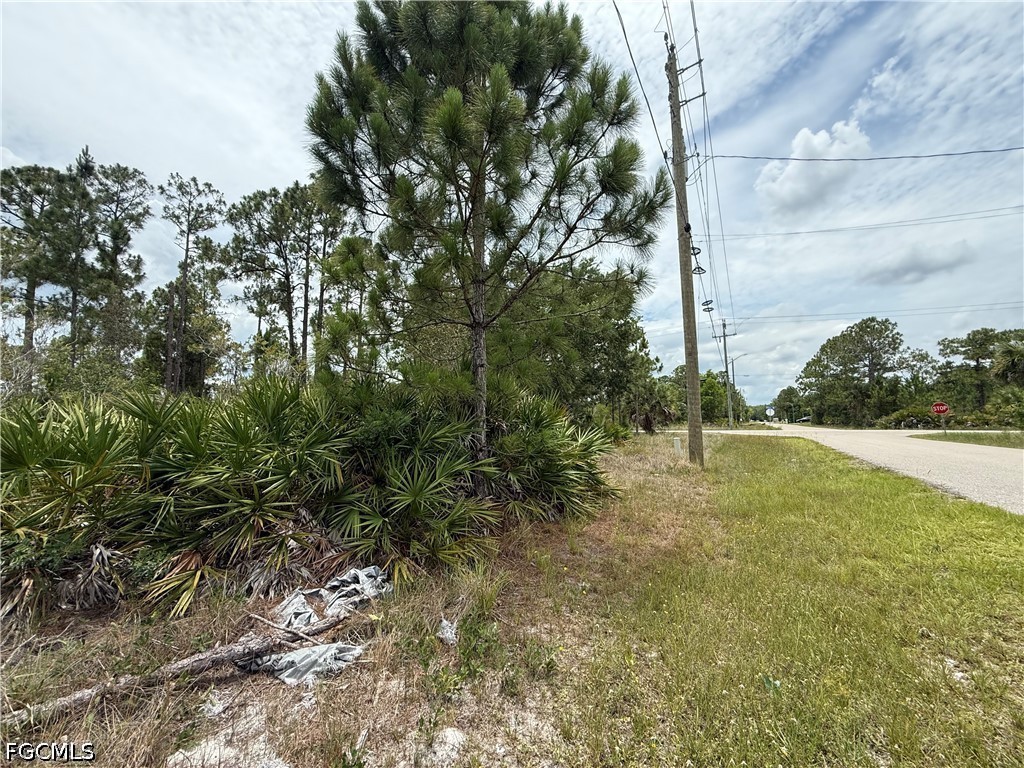 3111 36th Street W Lehigh Acres FL 33971 2026025429 image3