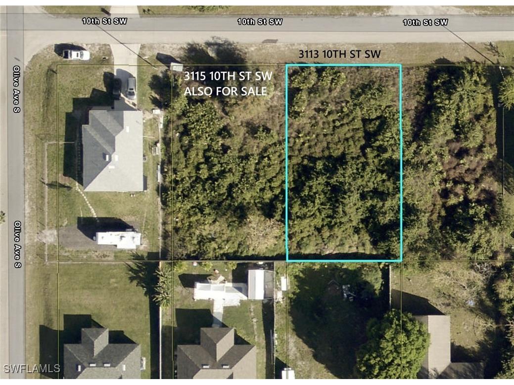 3113 10th Street SW Lehigh Acres FL 33976 225030446 image1